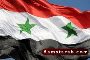 علم سوريا11
