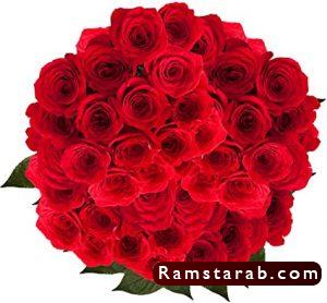 ورد احمر27