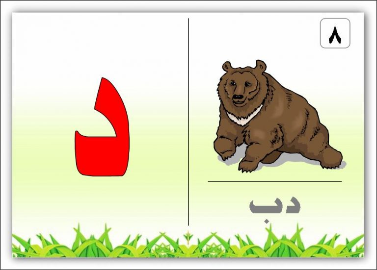 حرف د صور حرف دال للاطفال | رمسة عرب
