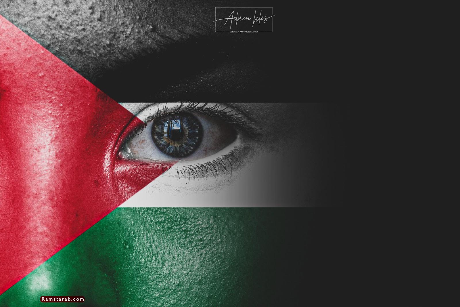 علم فلسطين14