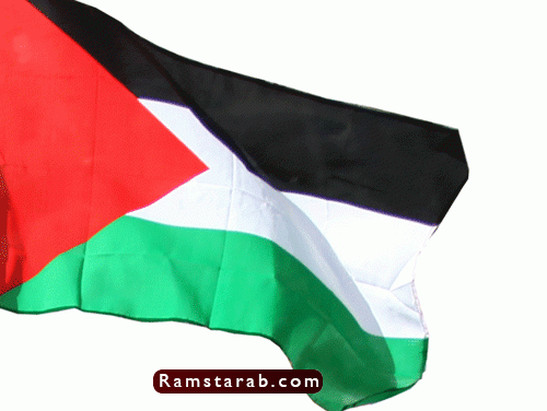 علم فلسطين10