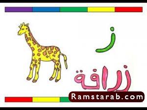 صور حرف ز17