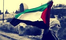 علم فلسطين17