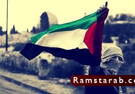 علم فلسطين17