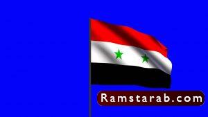 علم سوريا28