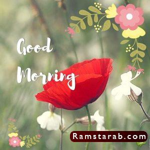 صور good morning4