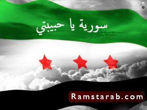 علم سوريا25