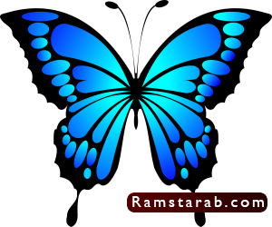 فراشات