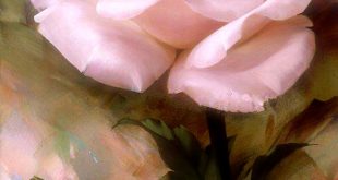صور اسم ريم8
