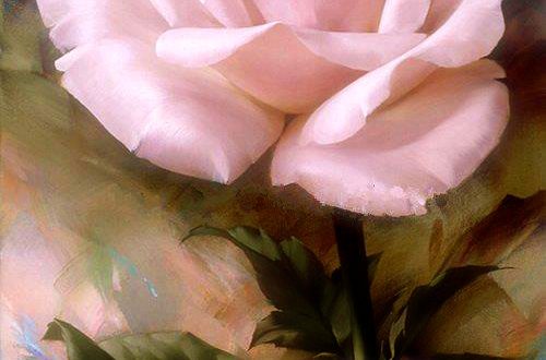 صور اسم ريم8