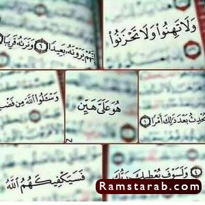 آيات قرآنية2