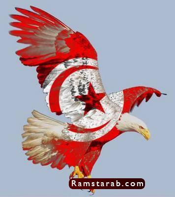 علم تونس27