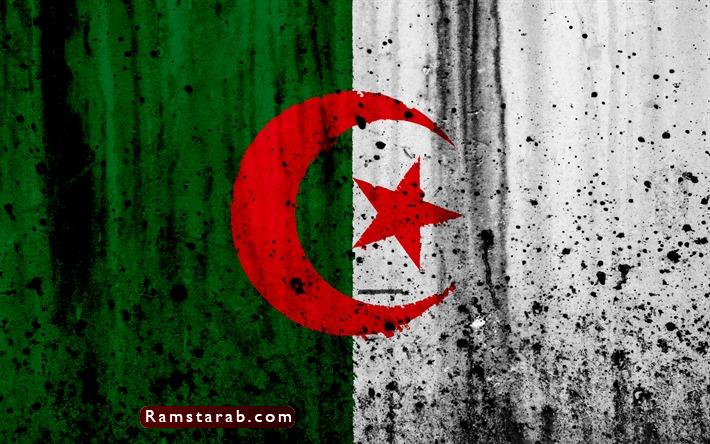 علم الجزائر 29