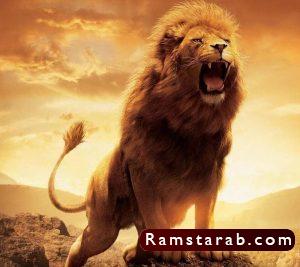 خلفيات اسود25