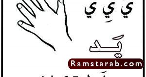 صور حرف ي 17