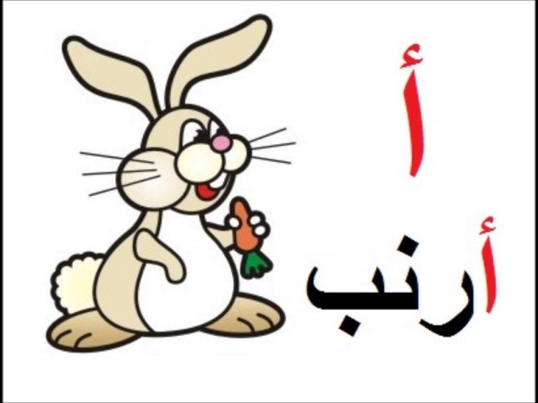حرف أ صور وكلمات بحرف أ | رمسة عرب