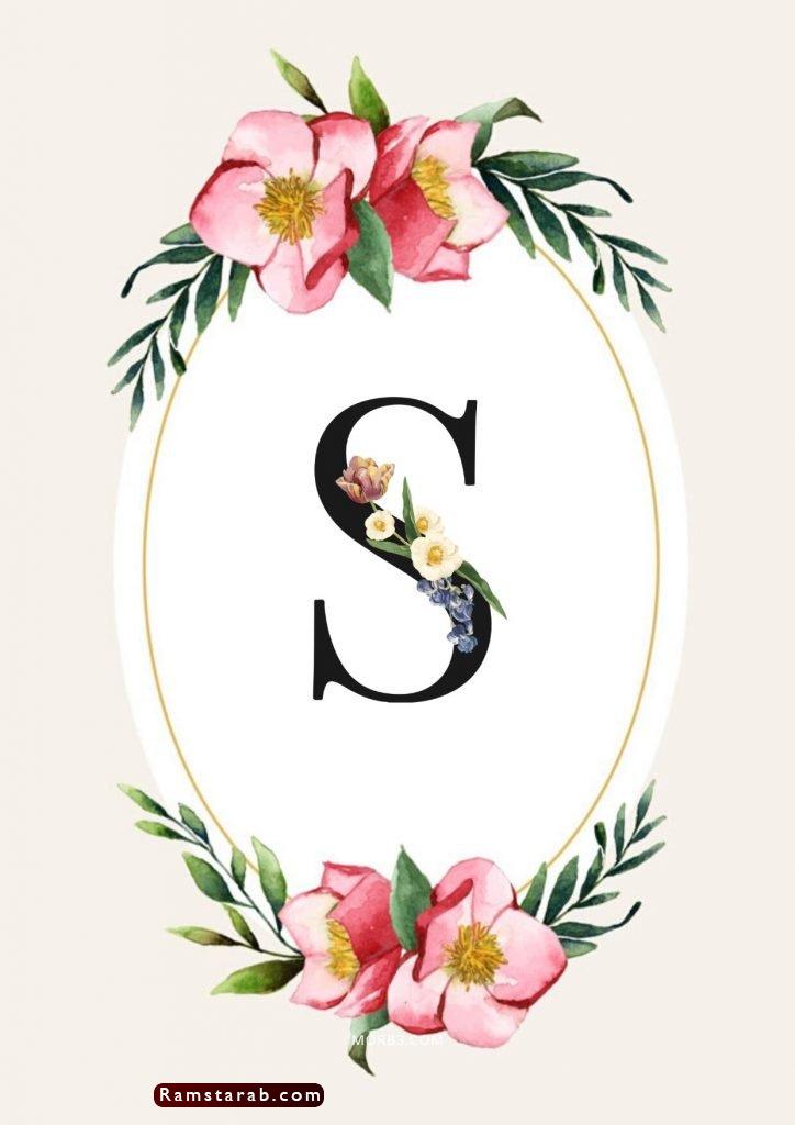 صور حرف S 25 رمسة عرب
