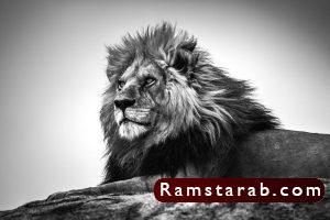 صور ابيض واسود23