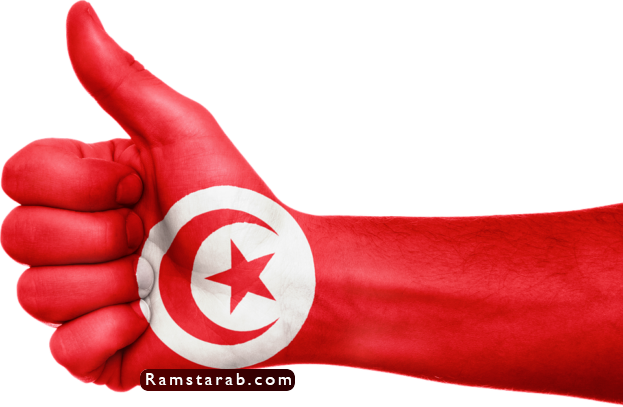 علم تونس30