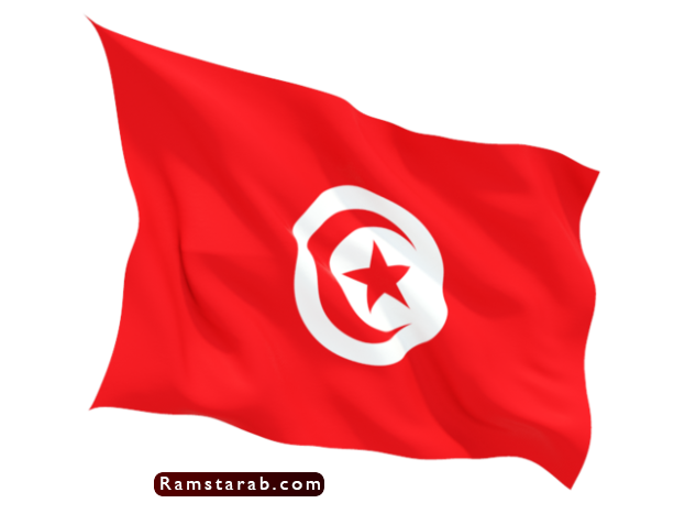 علم تونس29