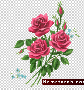 ورد للتصميم14