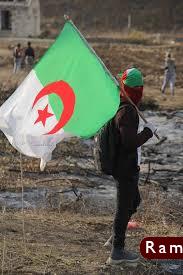 علم الجزائر 19