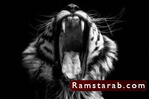 صور ابيض واسود7