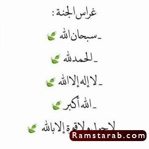صور سبحان الله العظيم9