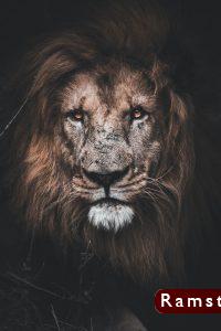 خلفيات اسود9