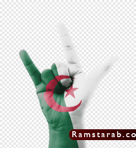 علم الجزائر 12