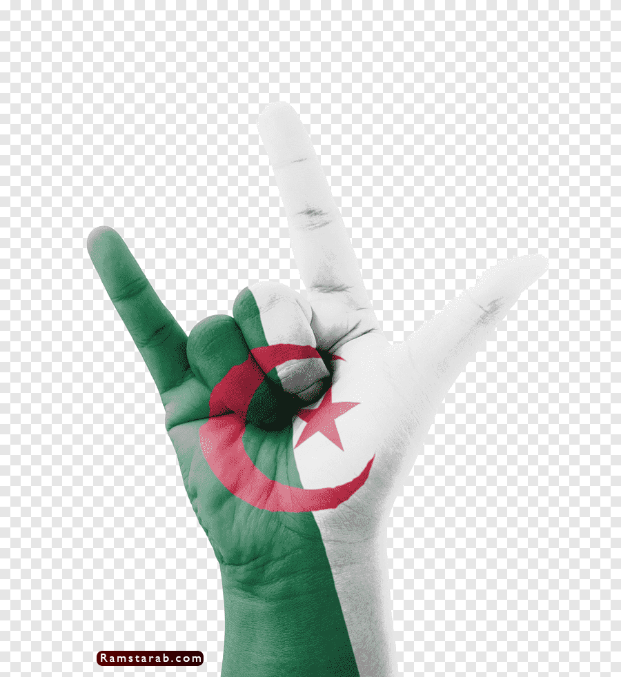 علم الجزائر 12