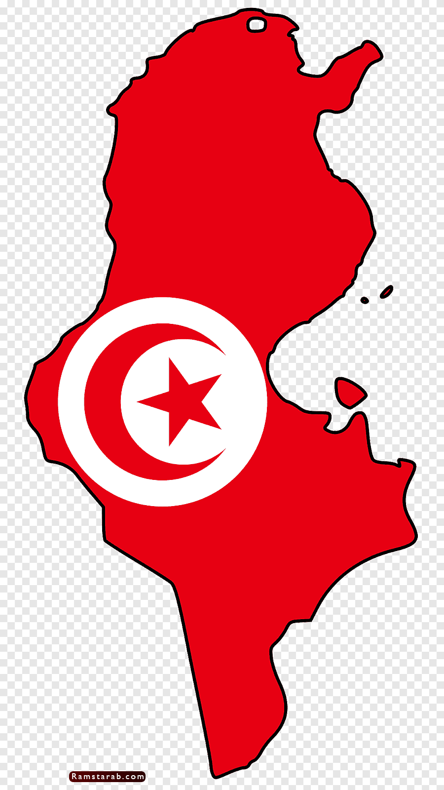 علم تونس15