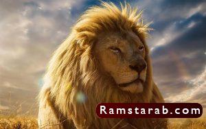 خلفيات اسود4