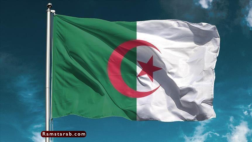 علم الجزائر 8