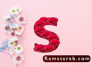 صور حرف s 5