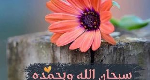 صور سبحان الله العظيم5