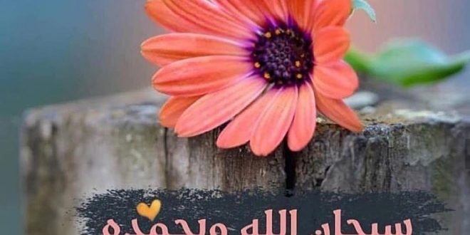 صور سبحان الله العظيم5