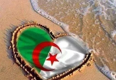 علم الجزائر 3