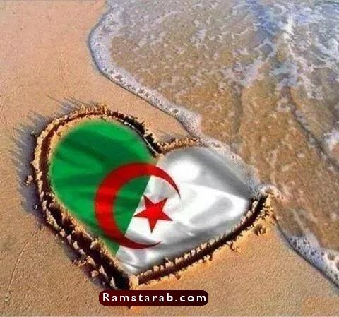 علم الجزائر 3