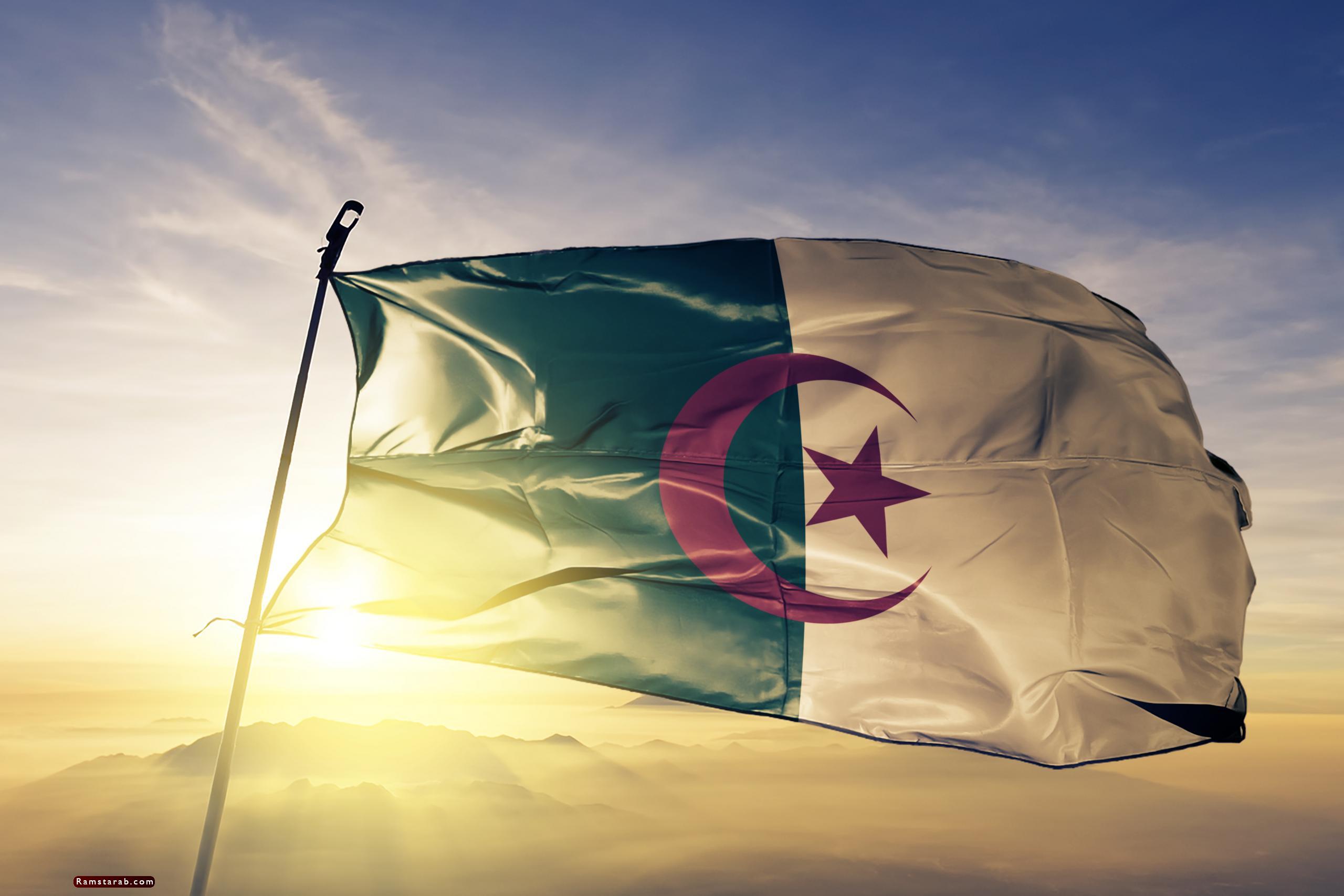 علم الجزائر 