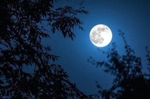 صورة رائعه للقمر 2