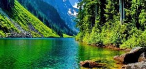 صورة طبيعة 11