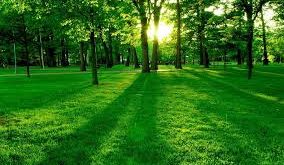 صورة طبيعه 8