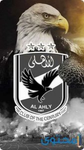 صورة لنادي الأهلي 10