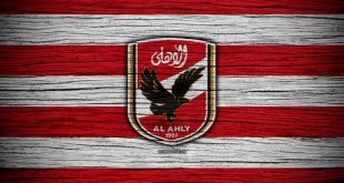 صورة لنادي الأهلي 13