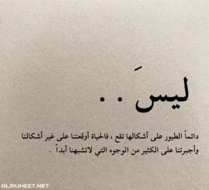 صورة معبره 8