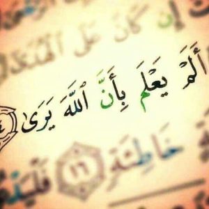 غلاف فيسبوك 14